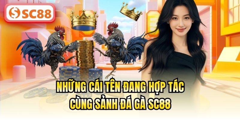 Những cái tên đang hợp tác cùng sảnh đá gà SC88